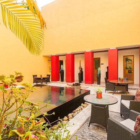 Villa Azalea Inn & Organic Farm JALISCO Luaran gambar