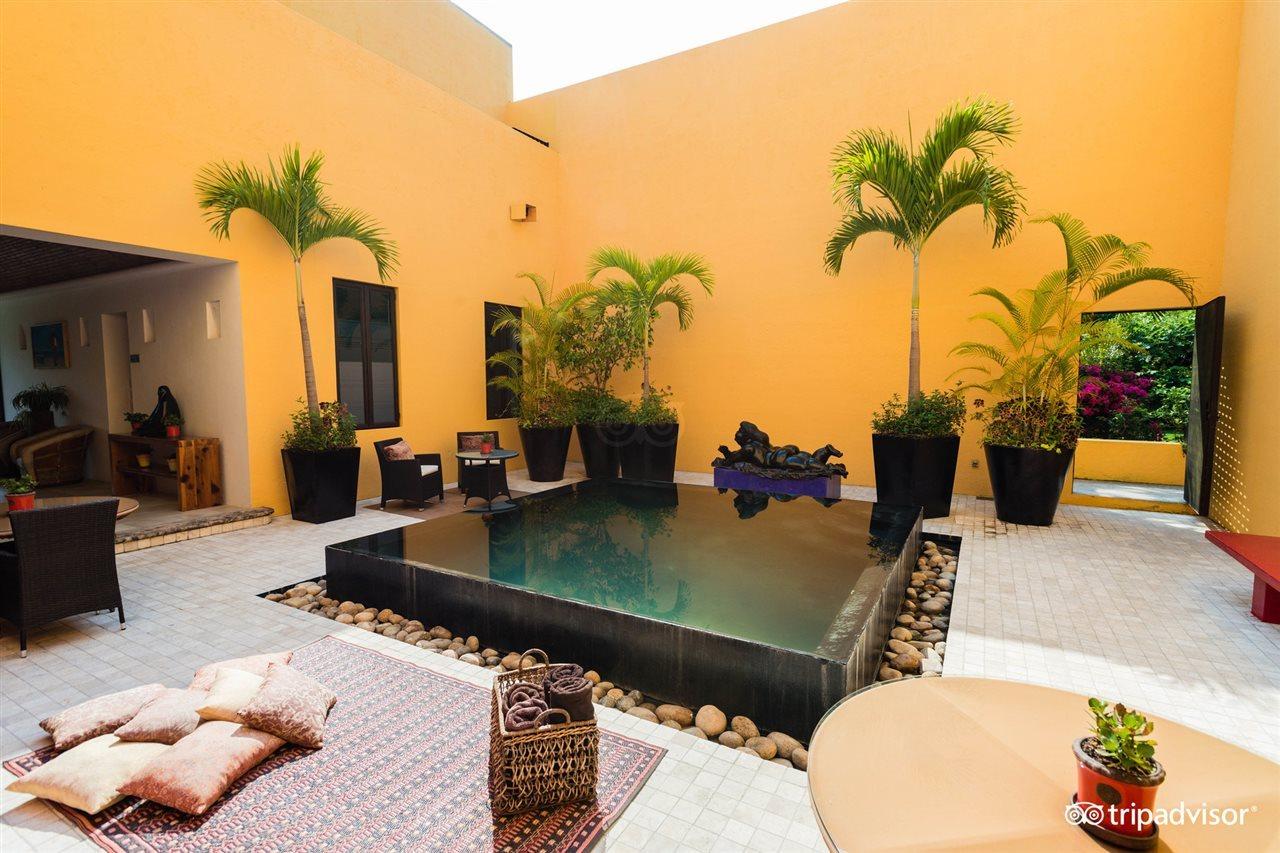Villa Azalea Inn & Organic Farm JALISCO Luaran gambar
