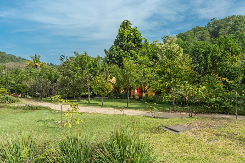 Villa Azalea Inn & Organic Farm JALISCO Luaran gambar
