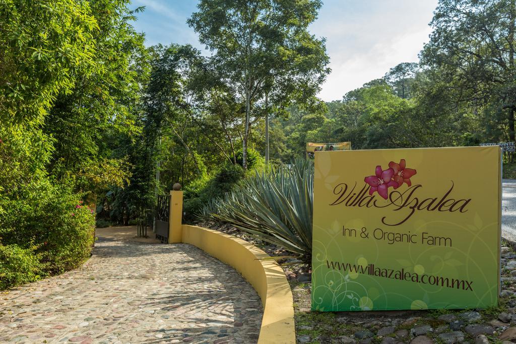 Villa Azalea Inn & Organic Farm JALISCO Luaran gambar