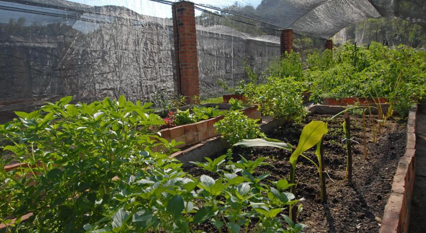 Villa Azalea Inn & Organic Farm JALISCO Luaran gambar