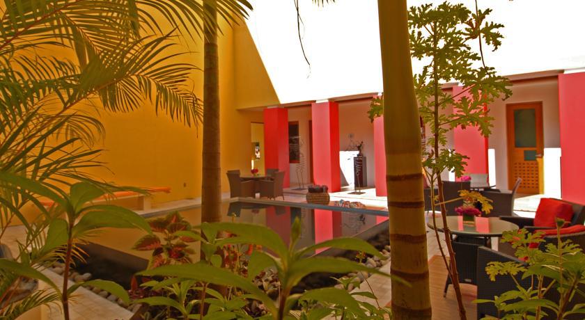 Villa Azalea Inn & Organic Farm JALISCO Luaran gambar